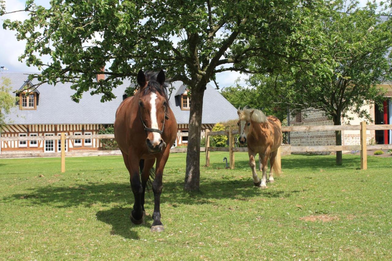 Le Clos Marie Sausseuzemare-en-Caux Buitenkant foto