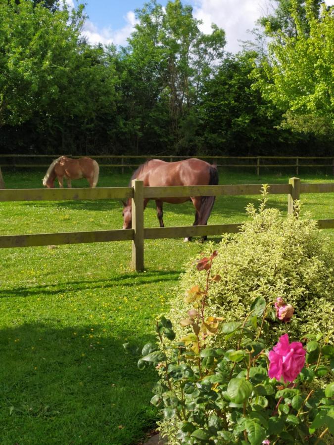 Le Clos Marie Sausseuzemare-en-Caux Buitenkant foto